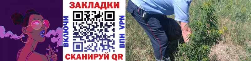 Магазины продажи наркотиков Няндома Марихуана  Кокаин  APVP  ГАШИШ 