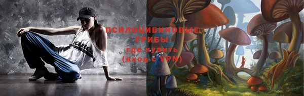 прущие грибы Верхнеуральск