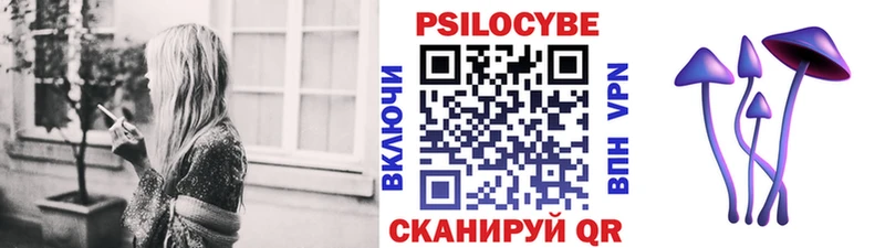 гидра зеркало  Няндома  Галлюциногенные грибы Psilocybine cubensis 
